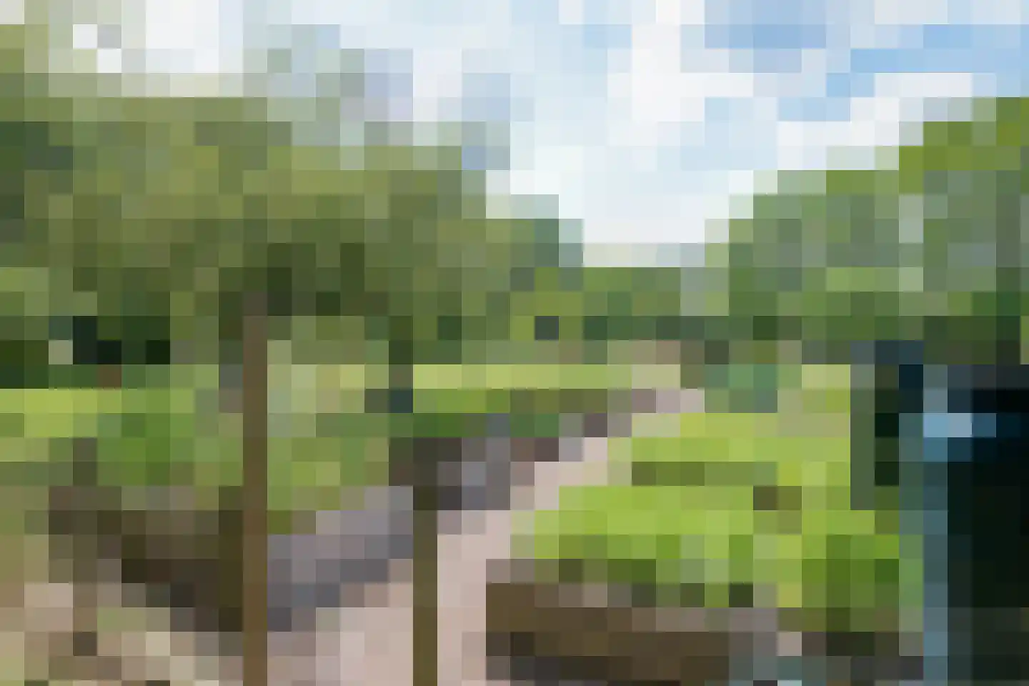 Herkenbosserweg 3 Vlodrop thumbnail 26