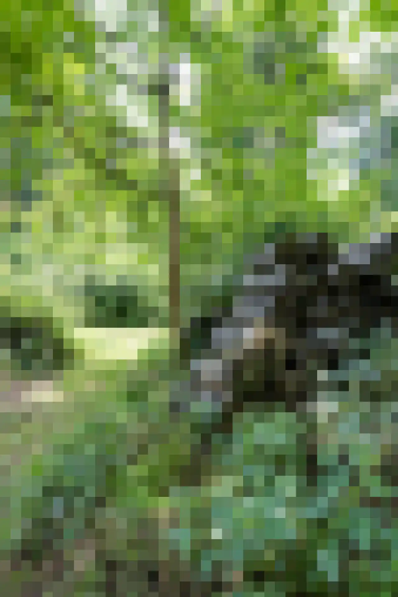 Herkenbosserweg 3 Vlodrop thumbnail 27