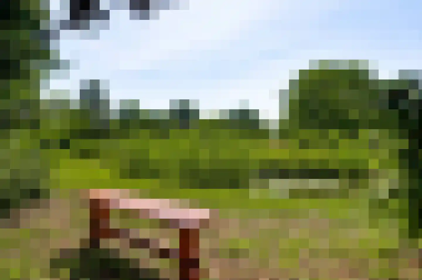 Herkenbosserweg 3 Vlodrop thumbnail 27