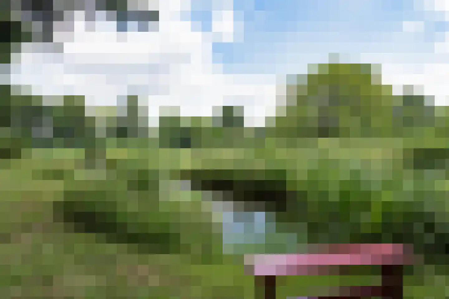 Herkenbosserweg 3 Vlodrop thumbnail 28