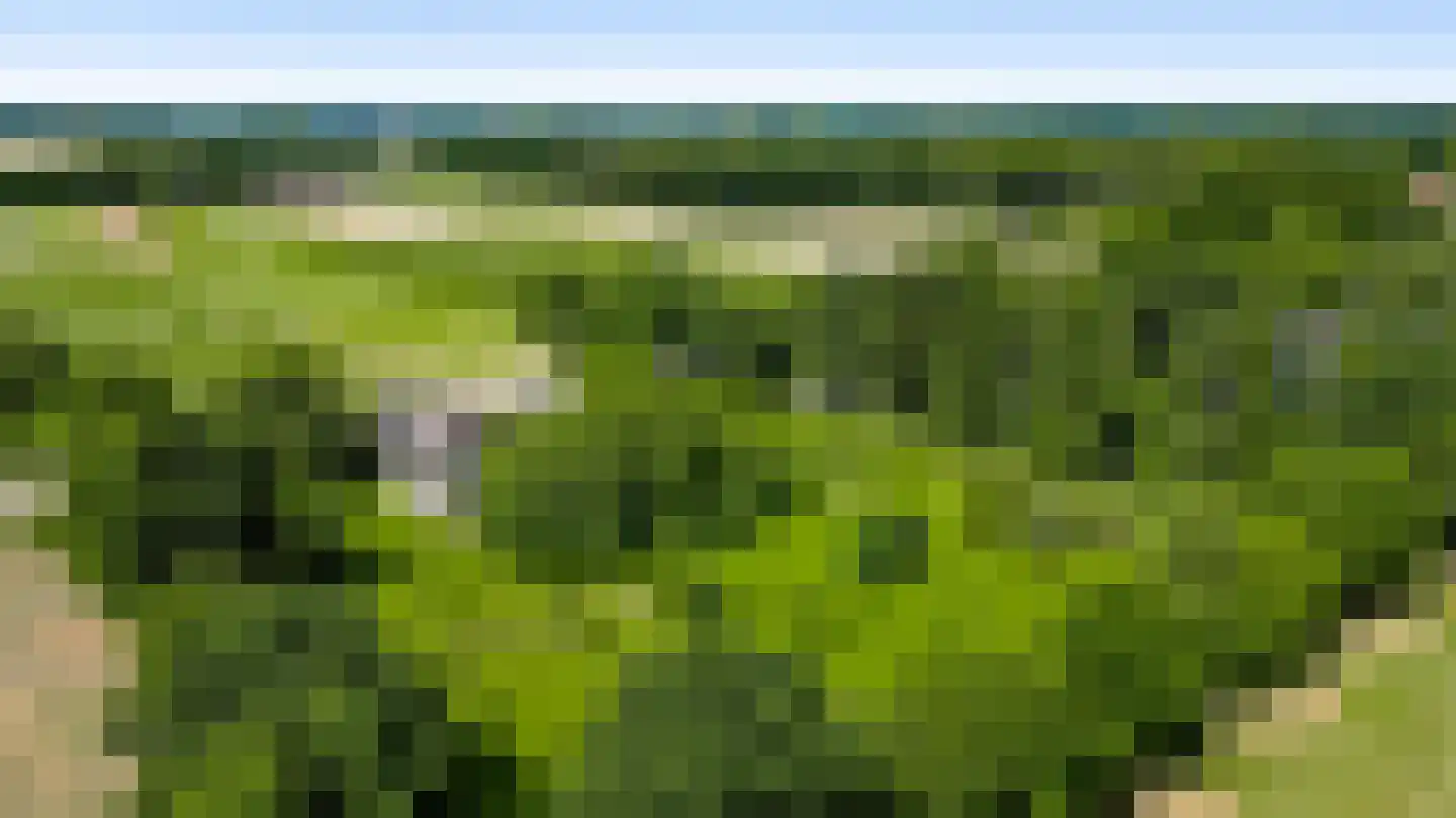 Herkenbosserweg 3 Vlodrop thumbnail 28