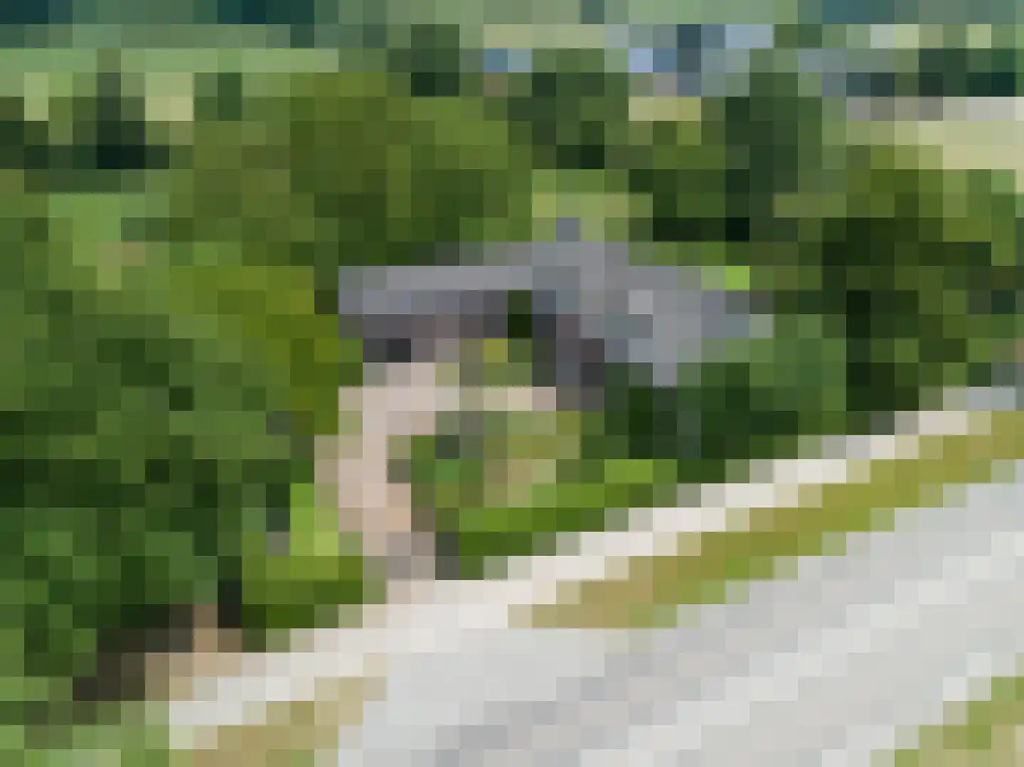 Herkenbosserweg 3 Vlodrop thumbnail 30