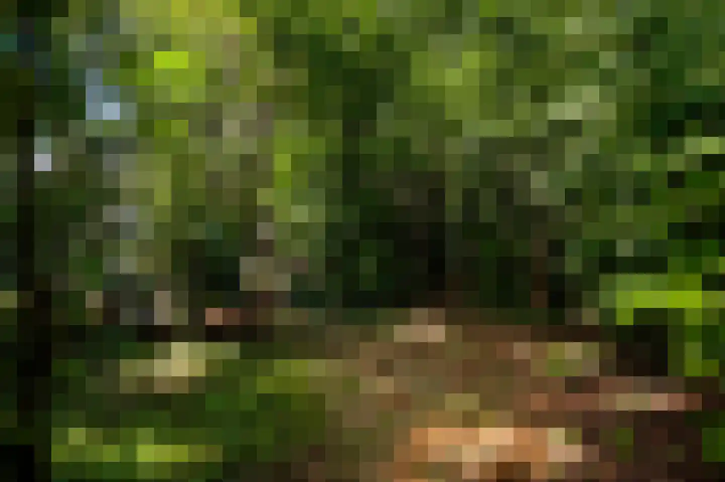 Herkenbosserweg 3 Vlodrop thumbnail 31