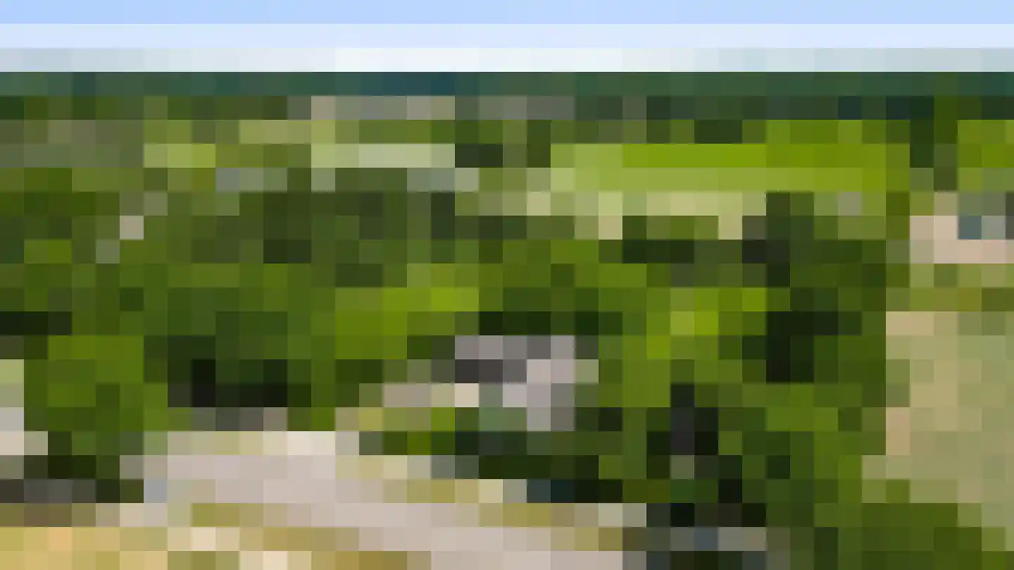Herkenbosserweg 3 Vlodrop thumbnail 32
