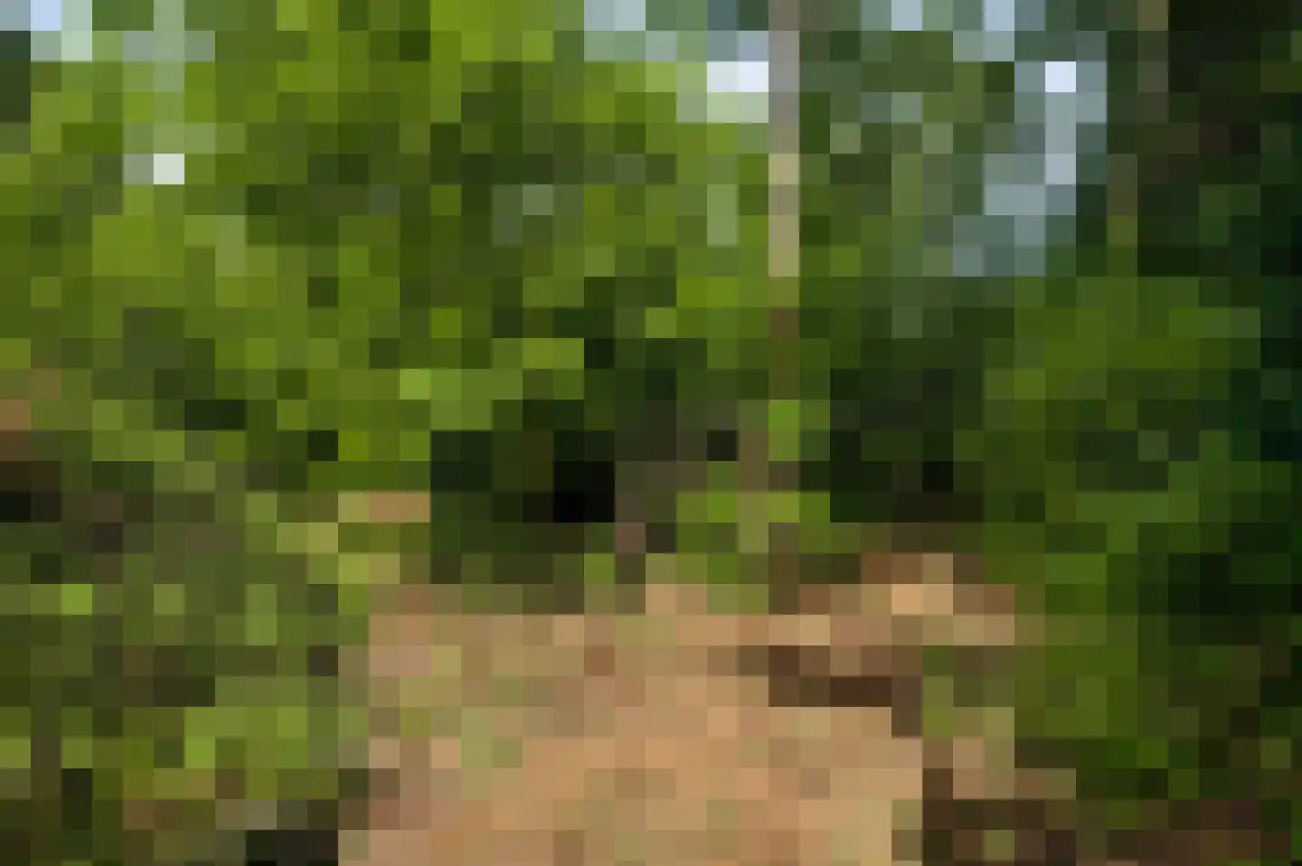 Herkenbosserweg 3 Vlodrop thumbnail 33
