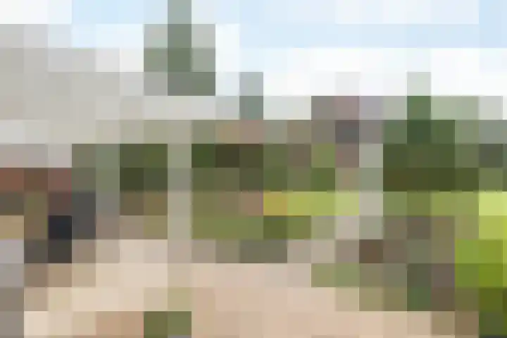 Herkenrade 43 Sint Geertruid thumbnail 29