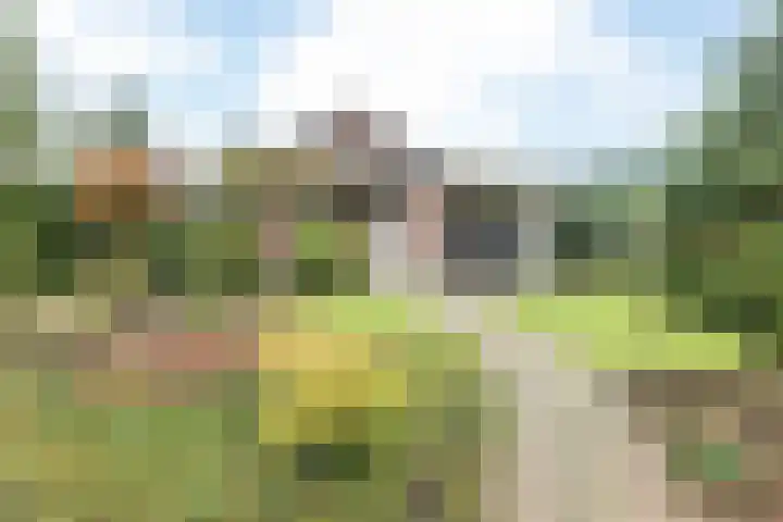 Herkenrade 43 Sint Geertruid thumbnail 30