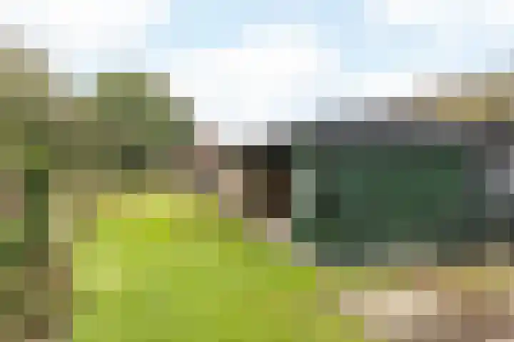 Herkenrade 43 Sint Geertruid thumbnail 36
