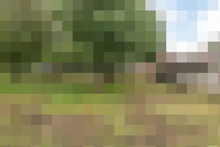 Herkenrade 43 Sint Geertruid thumbnail 37