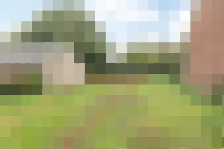 Herkenrade 43 Sint Geertruid thumbnail 38