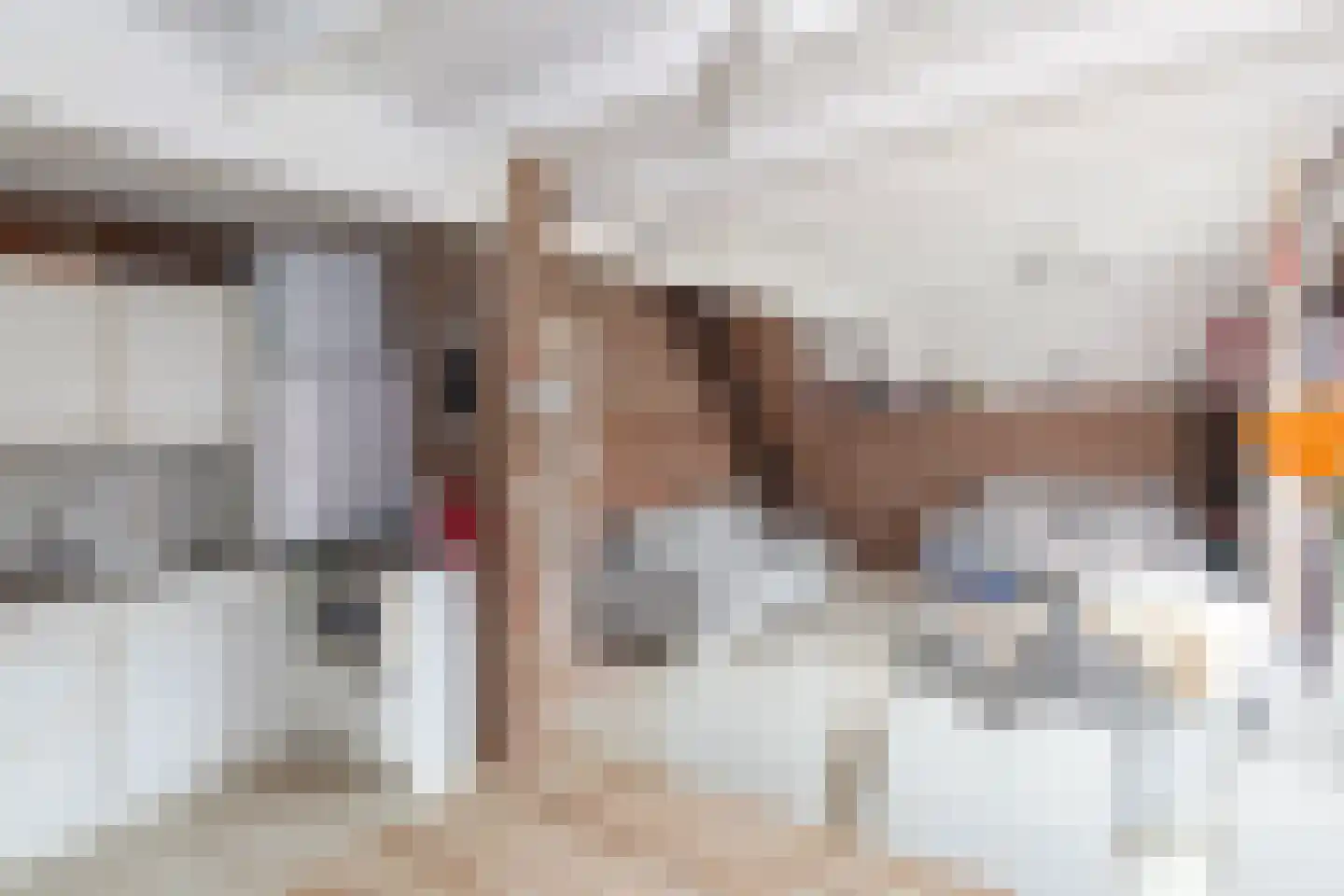 Herkingsezeedijk 17 Herkingen thumbnail 11