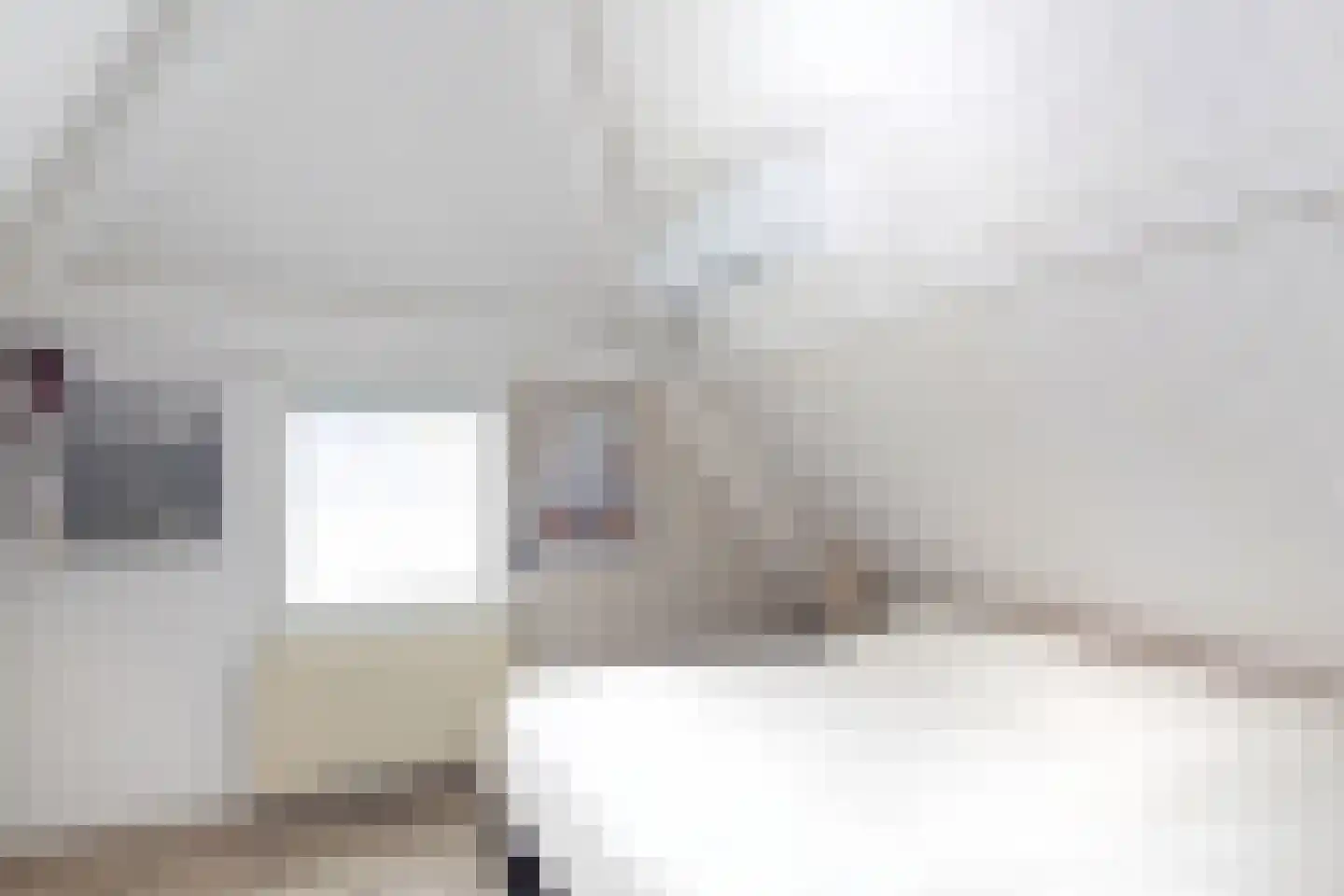 Herkingsezeedijk 17 Herkingen thumbnail 14
