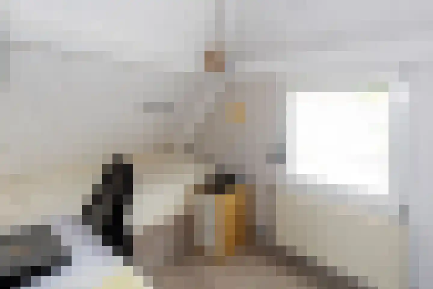 Herkingsezeedijk 17 Herkingen thumbnail 16