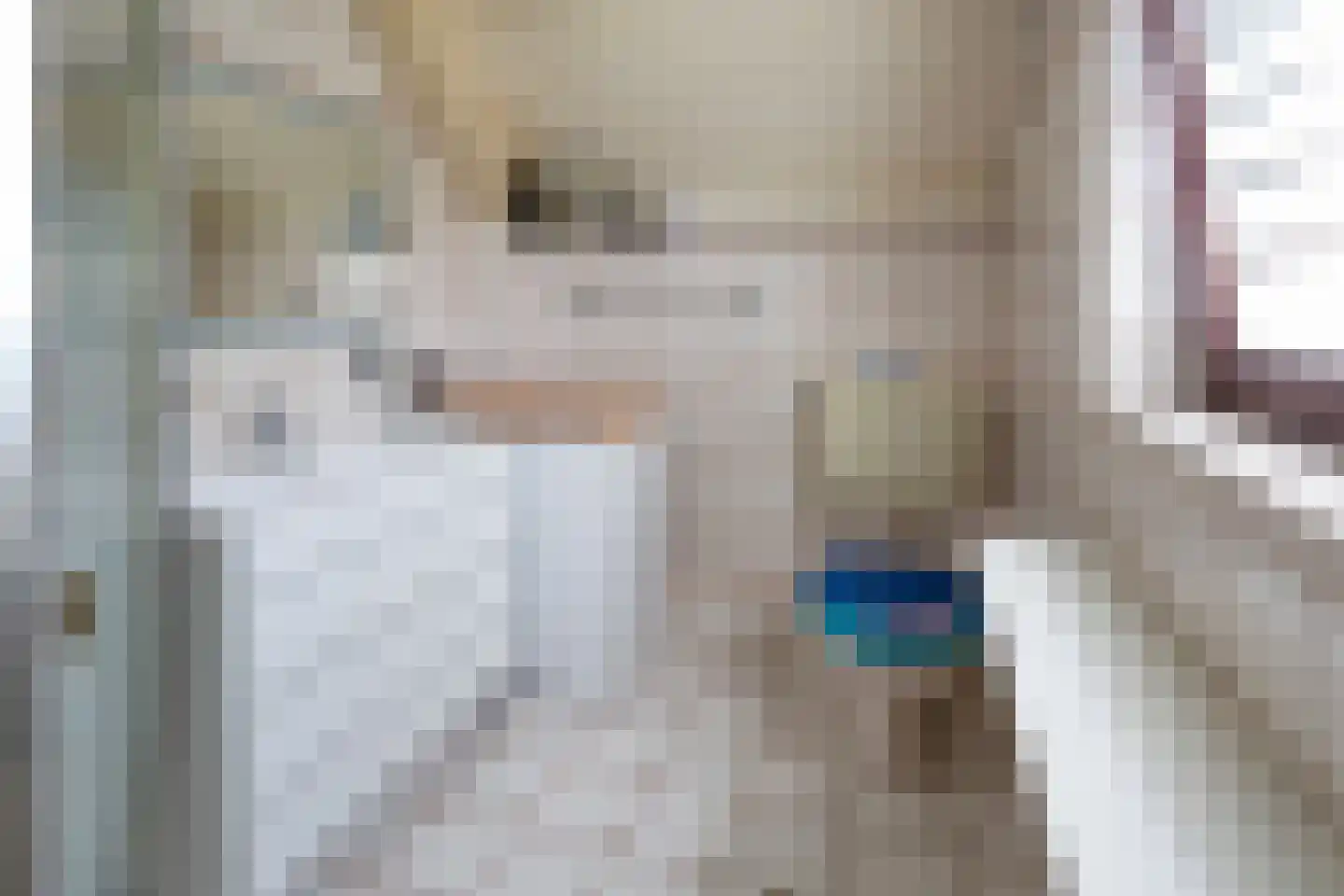 Herkingsezeedijk 17 Herkingen thumbnail 18