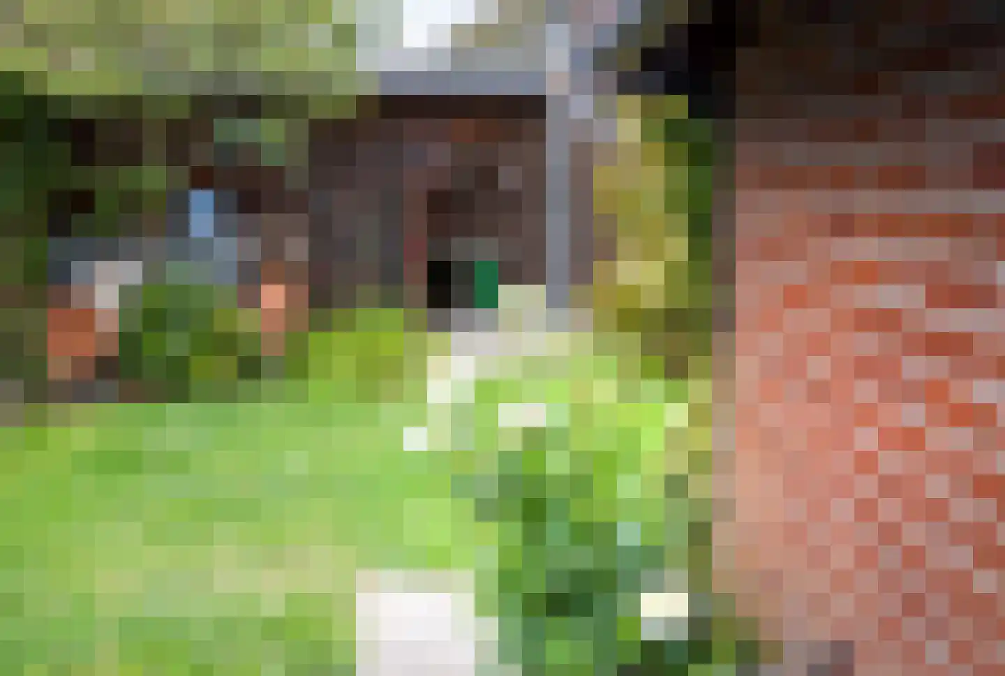 Herkingsezeedijk 17 Herkingen thumbnail 25