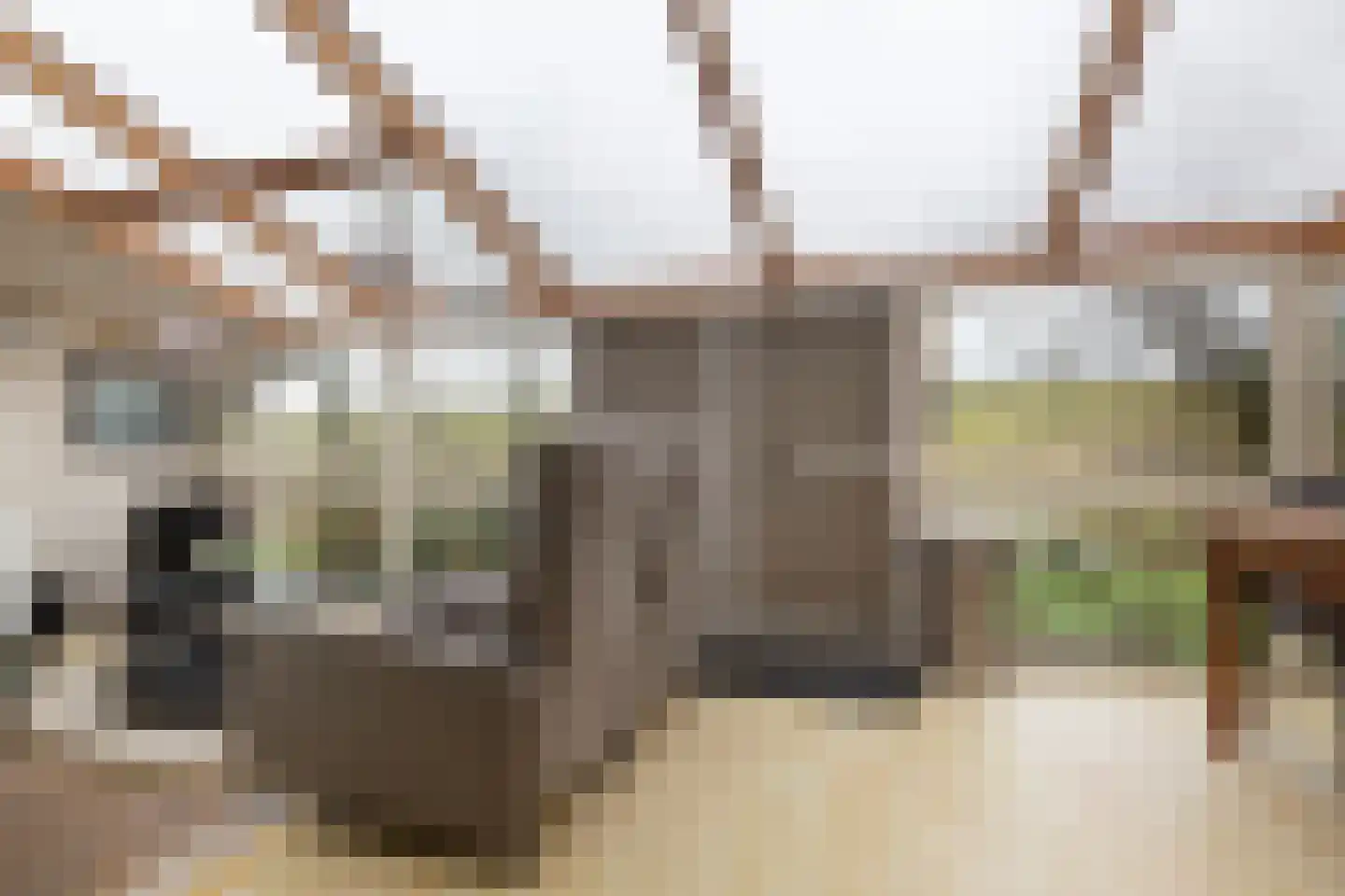 Herkingsezeedijk 215 Herkingen thumbnail 11