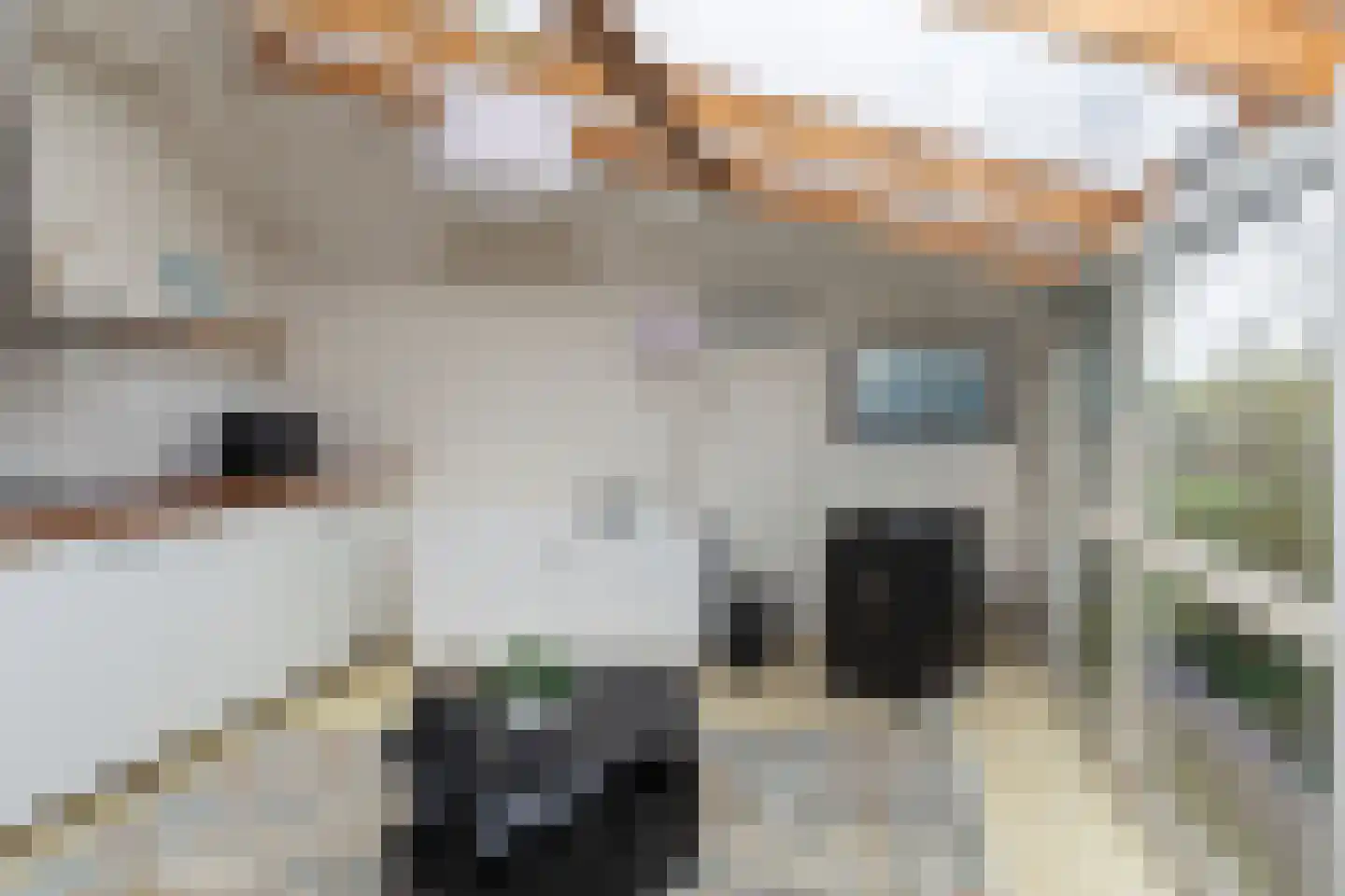 Herkingsezeedijk 215 Herkingen thumbnail 13