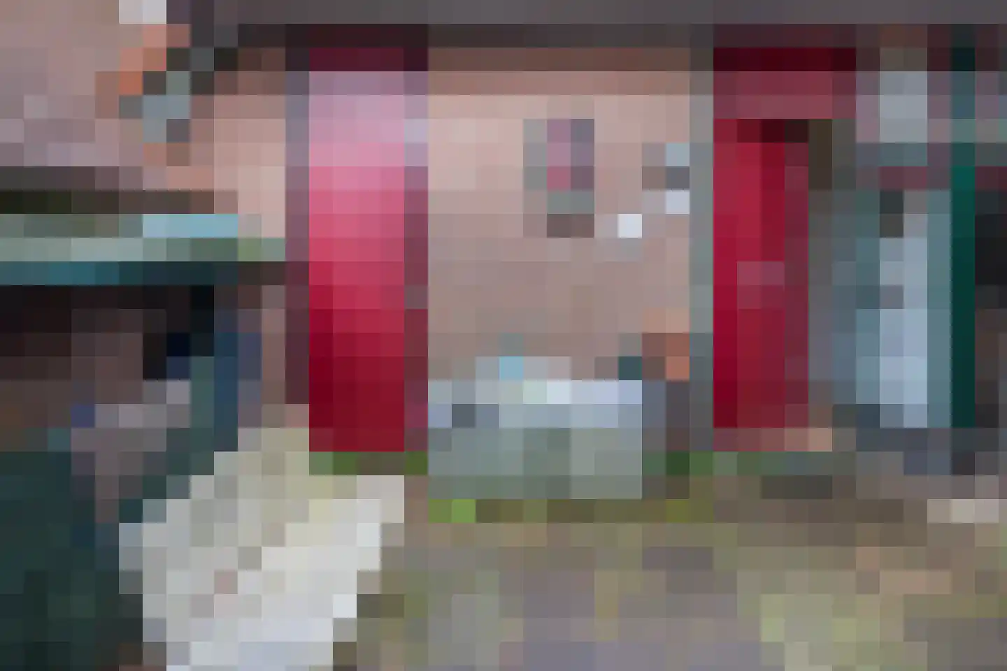 Herkingsezeedijk 215 Herkingen thumbnail 23