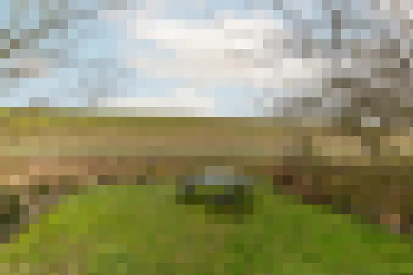 Herkingsezeedijk 215 Herkingen thumbnail 26