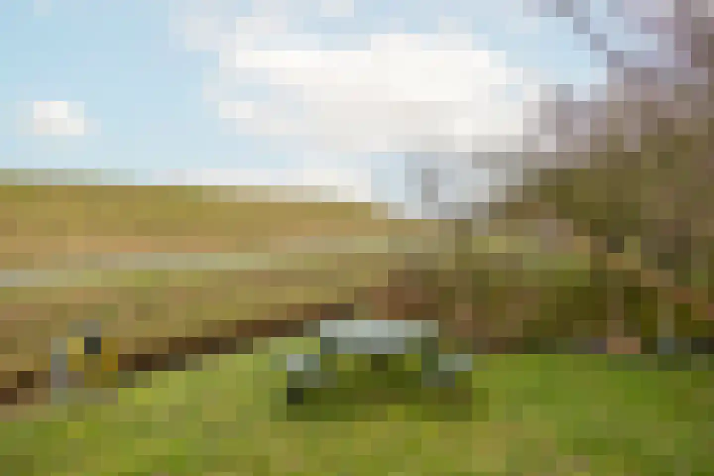 Herkingsezeedijk 215 Herkingen thumbnail 28