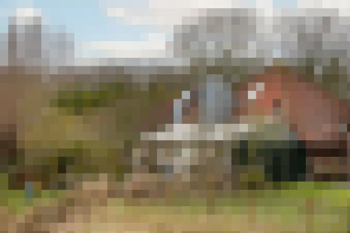 Herkingsezeedijk 215 Herkingen thumbnail 5