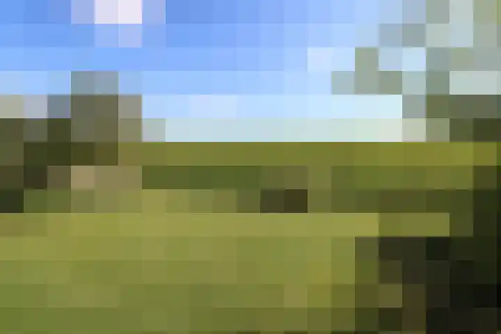 Herkingsezeedijk 216 Herkingen thumbnail 30