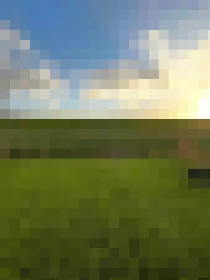 Herkingsezeedijk 216 Herkingen thumbnail 31