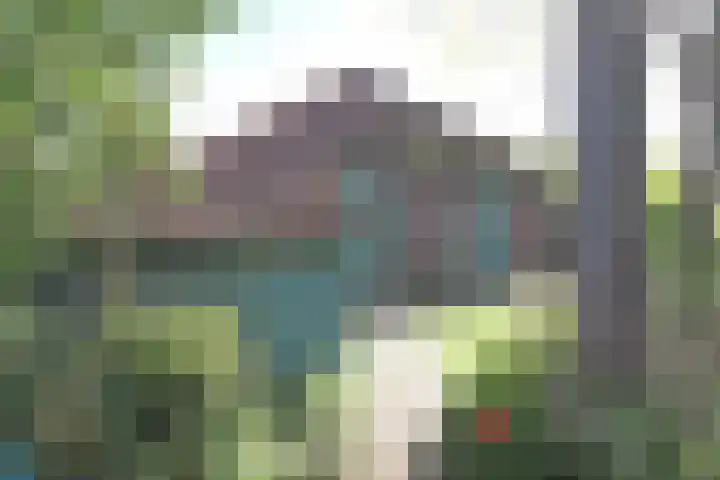 Herkingsezeedijk 216 Herkingen thumbnail 33