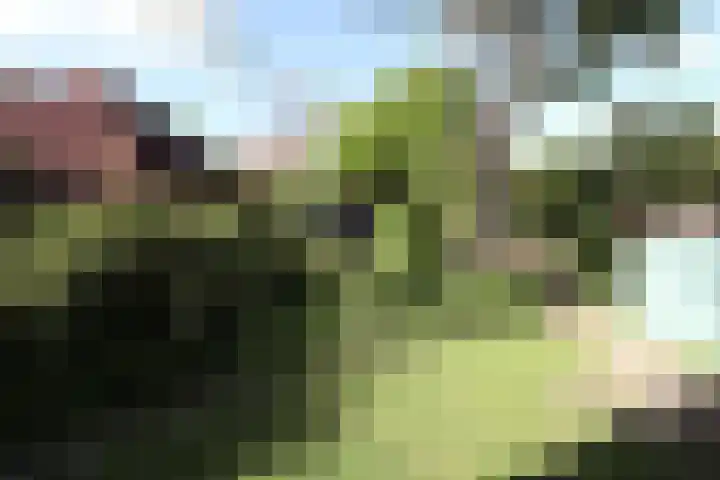 Herkingsezeedijk 216 Herkingen thumbnail 35