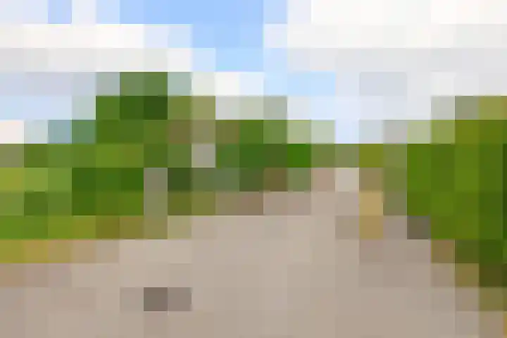 Herkingsezeedijk 216 Herkingen thumbnail 37