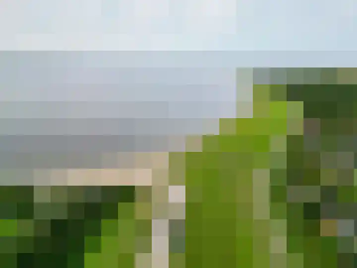 Herkingsezeedijk 216 Herkingen thumbnail 40