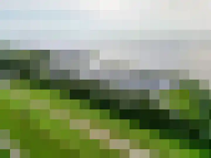 Herkingsezeedijk 216 Herkingen thumbnail 41