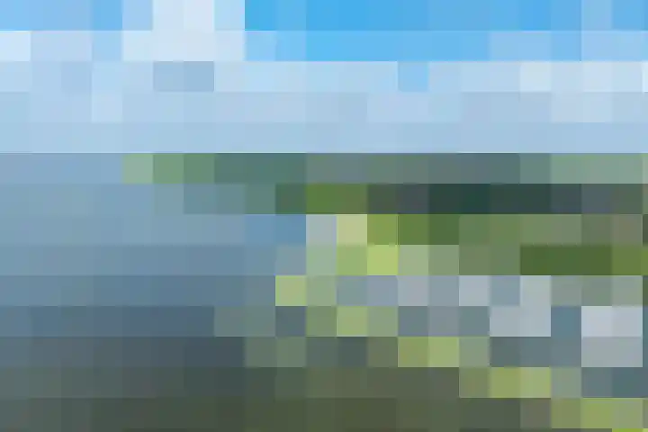 Herkingsezeedijk 216 Herkingen thumbnail 42