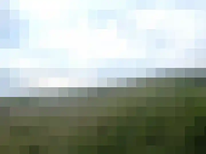 Herkingsezeedijk 216 Herkingen thumbnail 46