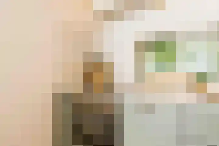 Herkingsezeedijk 216 Herkingen thumbnail 5