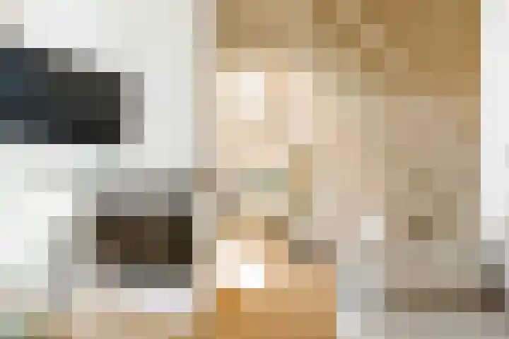 Herkingsezeedijk 216 Herkingen thumbnail 6