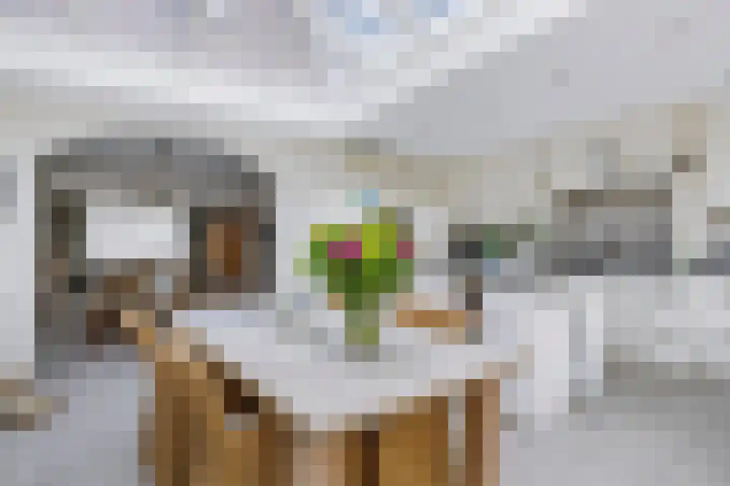 Herlaer 35 Eindhoven thumbnail 14