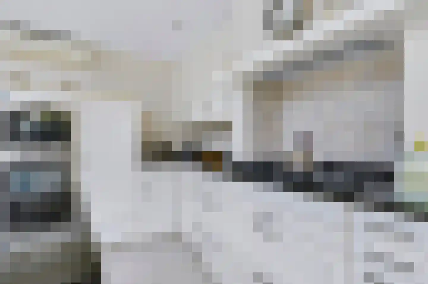Herlaer 35 Eindhoven thumbnail 18