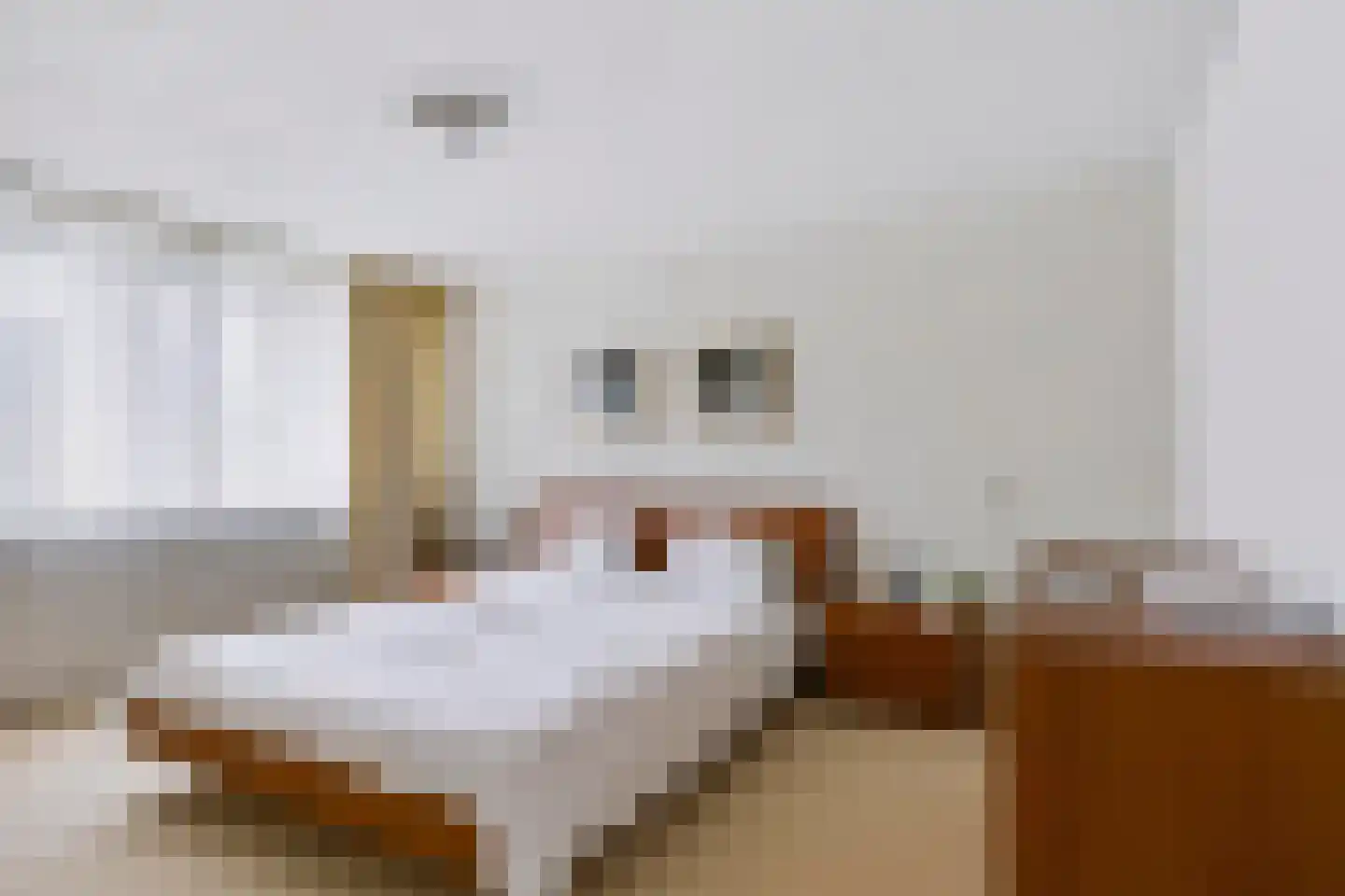 Herlaer 35 Eindhoven thumbnail 25
