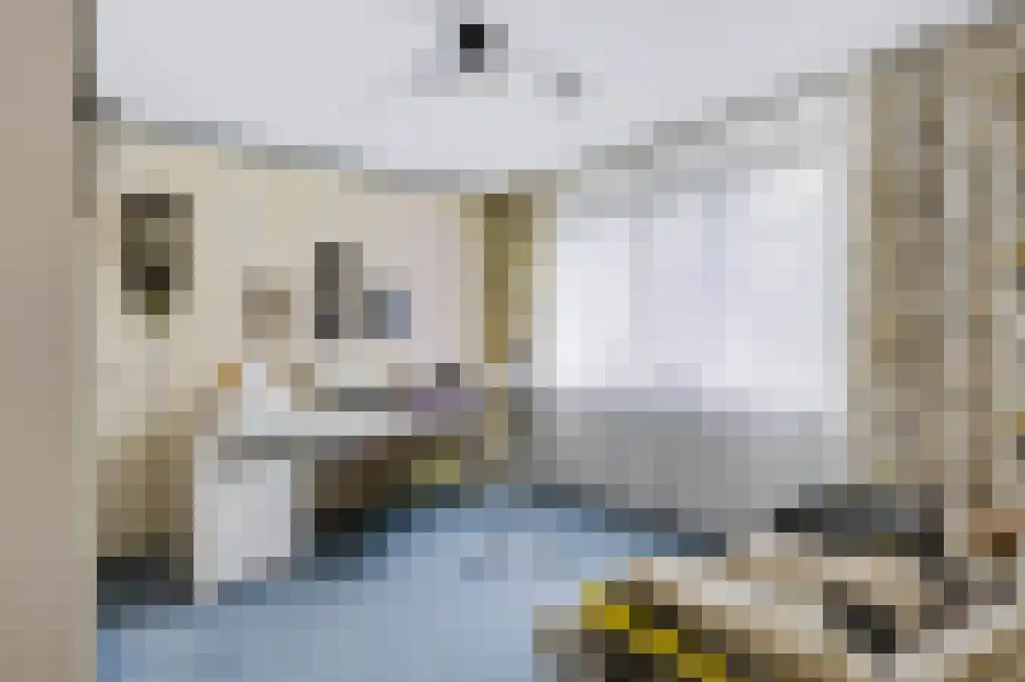 Herlaer 35 Eindhoven thumbnail 30
