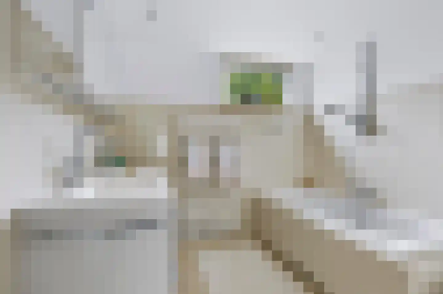 Herlaer 35 Eindhoven thumbnail 32