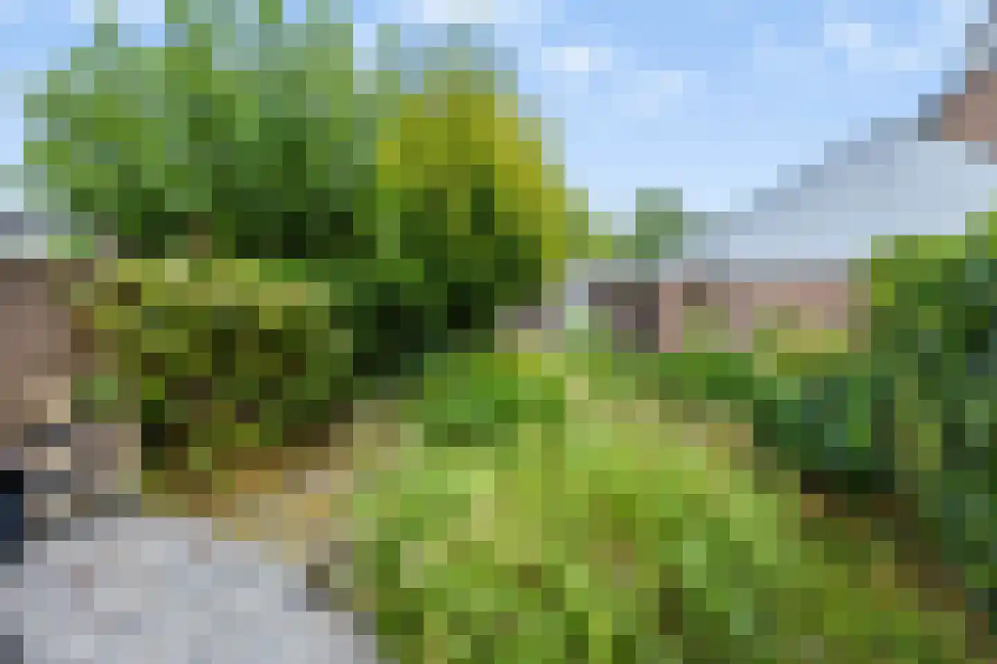 Herlaer 35 Eindhoven thumbnail 37