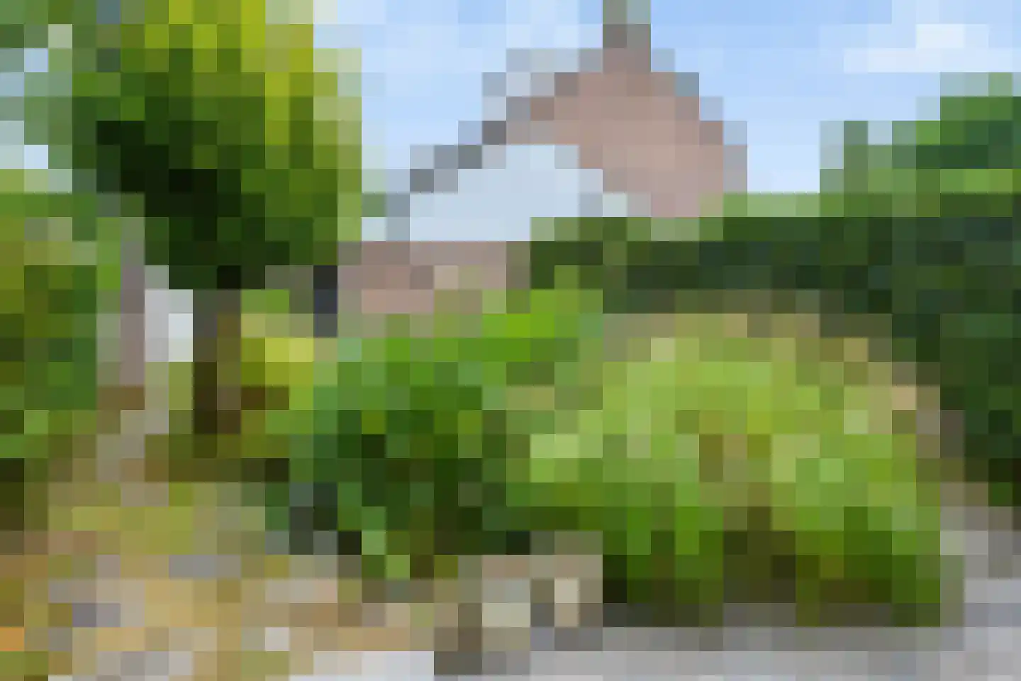 Herlaer 35 Eindhoven thumbnail 38