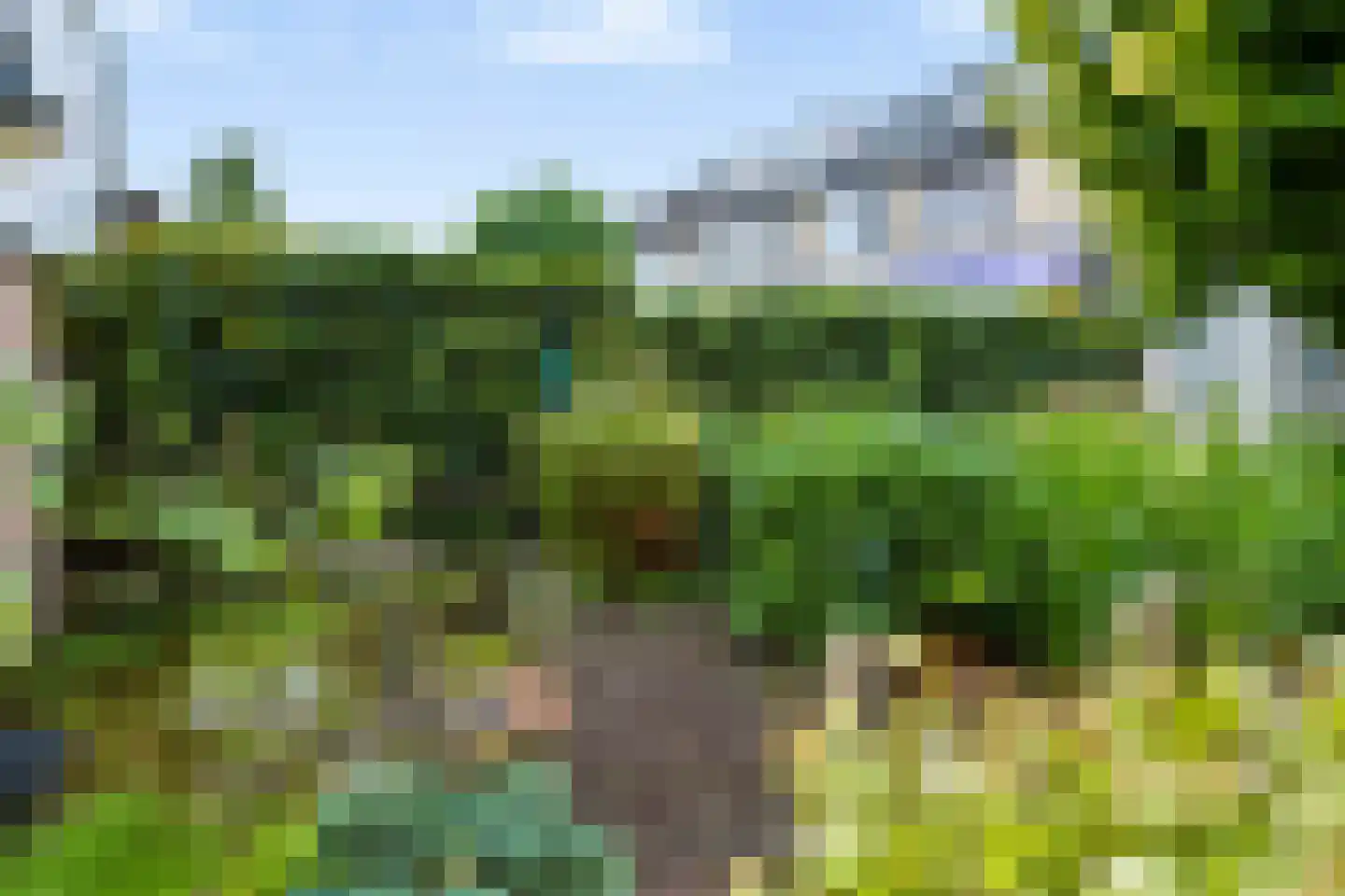 Herlaer 35 Eindhoven thumbnail 40