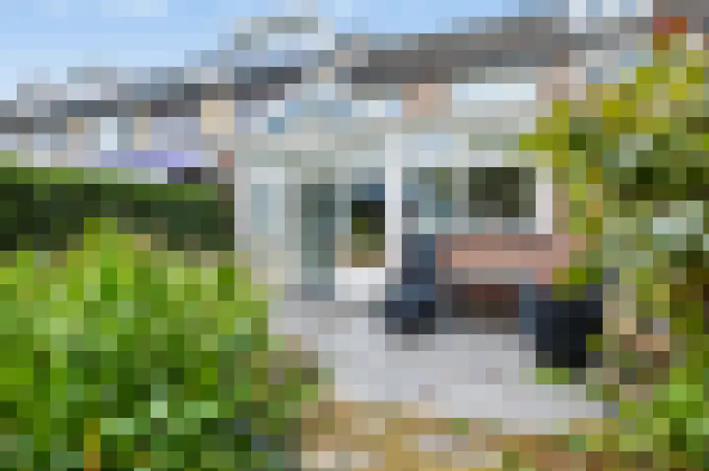 Herlaer 35 Eindhoven thumbnail 41