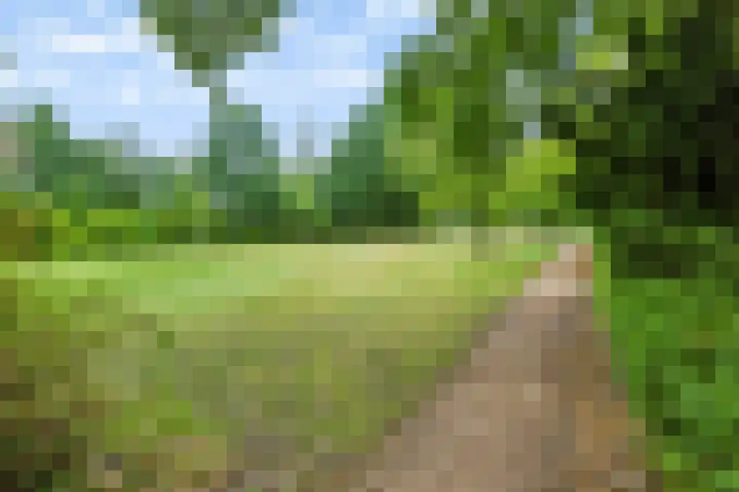 Herlaer 35 Eindhoven thumbnail 46