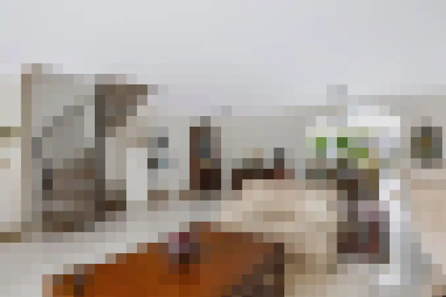 Herlaer 35 Eindhoven thumbnail 7
