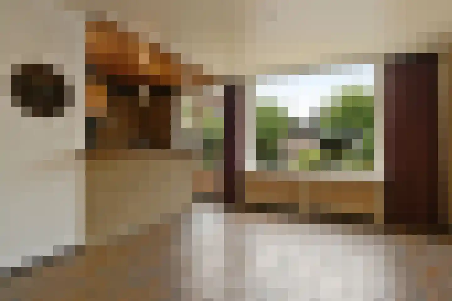 Herlaer 43 Eindhoven thumbnail 12