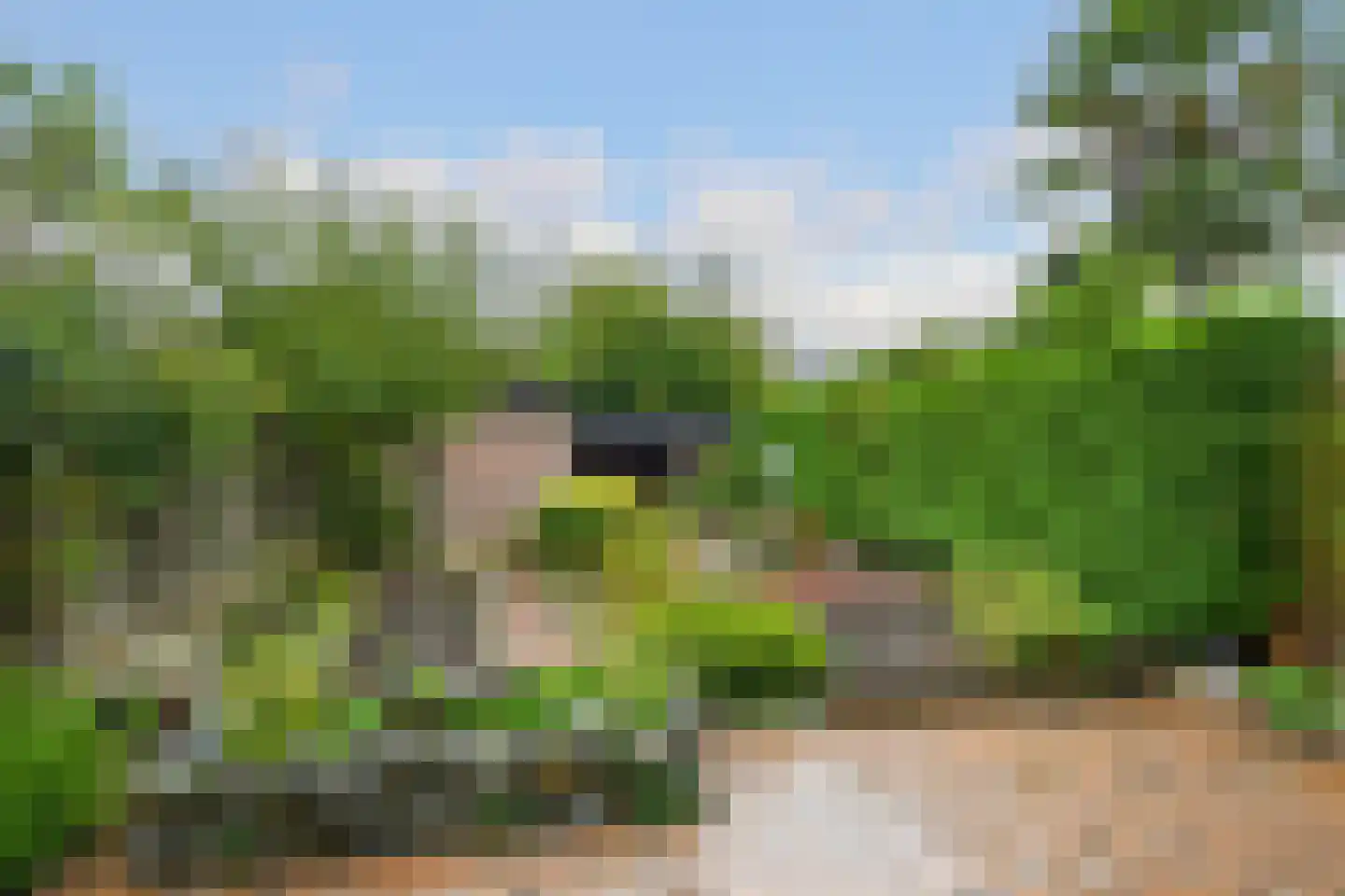 Herlaer 43 Eindhoven thumbnail 28