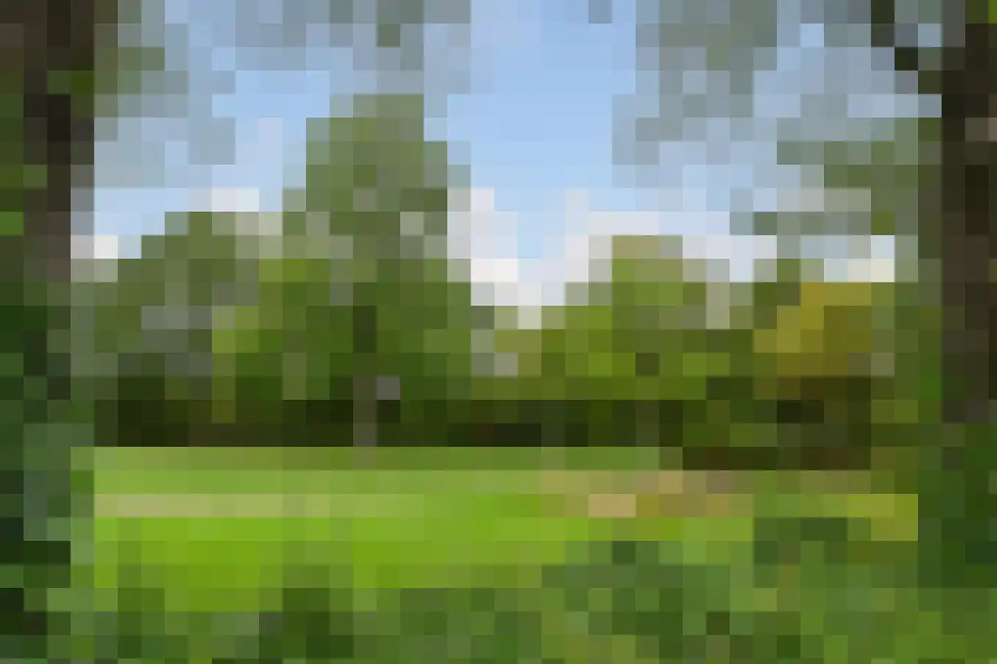 Herlaer 43 Eindhoven thumbnail 32